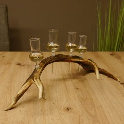 Schnapsanbieter 4x kleine Gläser Steckglas mit Stiel auf Rothirschstange Geschenk 27.60.2.52