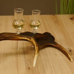 Schnapsanbieter 4x kleine Gläser Steckglas mit Stiel auf Rothirschstange Geschenk 27.60.2.52
