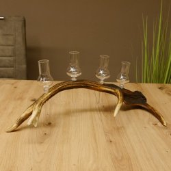 Schnapsanbieter 4x kleine Gläser Steckglas mit Stiel auf Rothirschstange Geschenk 27.60.2.52