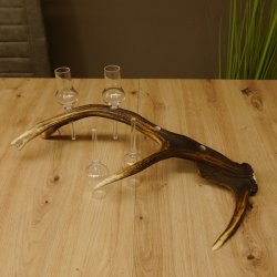 Schnapsanbieter 4x kleine Gläser Steckglas mit Stiel auf Rothirschstange Geschenk 27.60.2.52