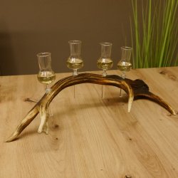 Schnapsanbieter 4x kleine Gläser Steckglas mit Stiel auf Rothirschstange Geschenk 27.60.2.52