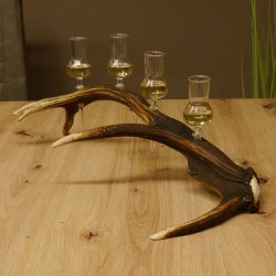 Schnapsanbieter 4x kleine Gläser Steckglas mit Stiel auf Rothirschstange Geschenk 27.60.2.52
