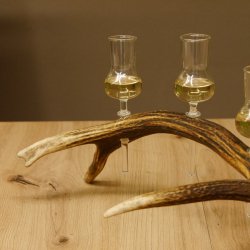 Schnapsanbieter 4x kleine Gläser Steckglas mit Stiel auf Rothirschstange Geschenk 27.60.2.52