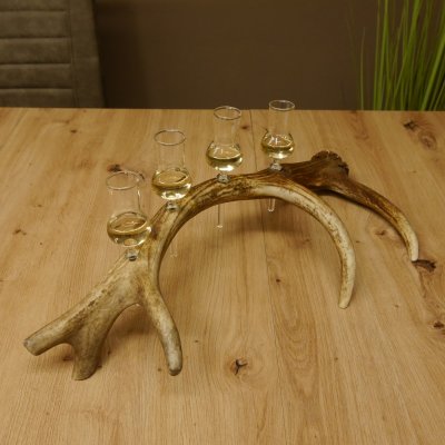 Schnapsanbieter 4x kleine Gläser Steckglas mit Stiel auf Rothirschstange Geschenk 27.60.2.54