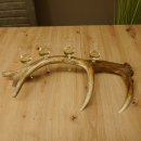 Schnapsanbieter 4x kleine Gläser Steckglas mit Stiel auf Rothirschstange Geschenk 27.60.2.54