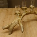 Schnapsanbieter 4x kleine Gläser Steckglas mit Stiel auf Rothirschstange Geschenk 27.60.2.54