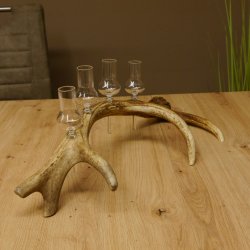 Schnapsanbieter 4x kleine Gläser Steckglas mit Stiel auf Rothirschstange Geschenk 27.60.2.54
