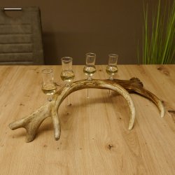 Schnapsanbieter 4x kleine Gläser Steckglas mit Stiel auf Rothirschstange Geschenk 27.60.2.54