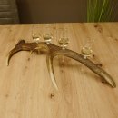 Schnapsanbieter 4x kleine Gläser Steckglas mit Stiel...