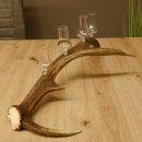 Schnapsanbieter 4x kleine Gläser Steckglas mit Stiel auf Rothirschstange Geschenk 27.60.2.55