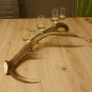 Schnapsanbieter 4x kleine Gläser Steckglas mit Stiel auf Rothirschstange Geschenk 27.60.2.55