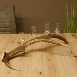 Schnapsanbieter 4x kleine Gläser Steckglas mit Stiel auf Rothirschstange Geschenk 27.60.2.55