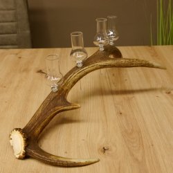 Schnapsanbieter 4x kleine Gläser Steckglas mit Stiel auf Rothirschstange Geschenk 27.60.2.55