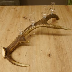 Schnapsanbieter 4x kleine Gläser Steckglas mit Stiel auf Rothirschstange Geschenk 27.60.2.55