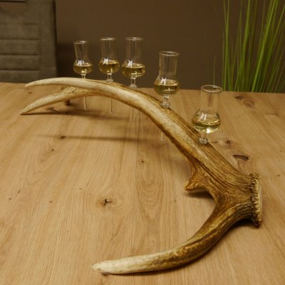 Schnapsanbieter 5x kleine Gläser Steckglas mit Stiel auf Rothirschstange Geschenk 27.60.2.56