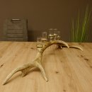 Schnapsanbieter 5x kleine Gläser Steckglas mit Stiel auf Rothirschstange Geschenk 27.60.2.56