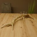 Schnapsanbieter 5x kleine Gläser Steckglas mit Stiel auf Rothirschstange Geschenk 27.60.2.56