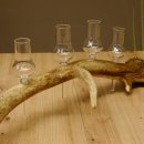 Schnapsanbieter 5x kleine Gläser Steckglas mit Stiel auf Rothirschstange Geschenk 27.60.2.56