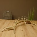 Schnapsanbieter 5x kleine Gläser Steckglas mit Stiel auf Rothirschstange Geschenk 27.60.2.56