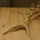 Schnapsanbieter 5x kleine Gläser Steckglas mit Stiel auf Rothirschstange Geschenk 27.60.2.56