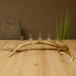 Schnapsanbieter 5x kleine Gläser Steckglas mit Stiel auf Rothirschstange Geschenk 27.60.2.56