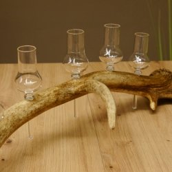 Schnapsanbieter 5x kleine Gläser Steckglas mit Stiel auf Rothirschstange Geschenk 27.60.2.56