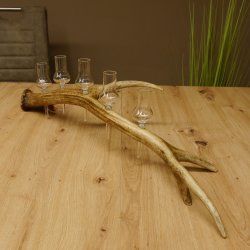 Schnapsanbieter 5x kleine Gläser Steckglas mit Stiel auf Rothirschstange Geschenk 27.60.2.56