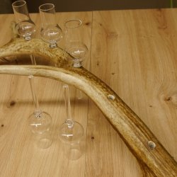 Schnapsanbieter 5x kleine Gläser Steckglas mit Stiel auf Rothirschstange Geschenk 27.60.2.56