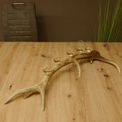 Schnapsanbieter 5x kleine Gläser Steckglas mit Stiel auf Rothirschstange Geschenk 27.60.2.56