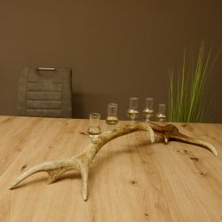 Schnapsanbieter 5x kleine Gläser Steckglas mit Stiel auf Rothirschstange Geschenk 27.60.2.56