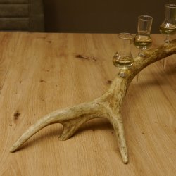 Schnapsanbieter 5x kleine Gläser Steckglas mit Stiel auf Rothirschstange Geschenk 27.60.2.56