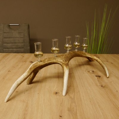 Schnapsanbieter 5x kleine Gläser Steckglas mit Stiel auf Rothirschstange Geschenk 27.60.2.57