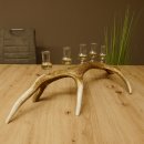 Schnapsanbieter 5x kleine Gläser Steckglas mit Stiel...