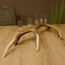 Schnapsanbieter 5x kleine Gläser Steckglas mit Stiel auf Rothirschstange Geschenk 27.60.2.57