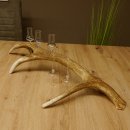 Schnapsanbieter 5x kleine Gläser Steckglas mit Stiel auf Rothirschstange Geschenk 27.60.2.57