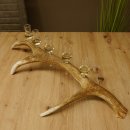 Schnapsanbieter 5x kleine Gläser Steckglas mit Stiel auf Rothirschstange Geschenk 27.60.2.57