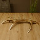 Schnapsanbieter 5x kleine Gläser Steckglas mit Stiel auf Rothirschstange Geschenk 27.60.2.57
