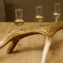 Schnapsanbieter 5x kleine Gläser Steckglas mit Stiel auf Rothirschstange Geschenk 27.60.2.57