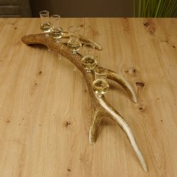 Schnapsanbieter 5x kleine Gläser Steckglas mit Stiel auf Rothirschstange Geschenk 27.60.2.57