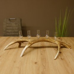 Schnapsanbieter 5x kleine Gläser Steckglas mit Stiel auf Rothirschstange Geschenk 27.60.2.57