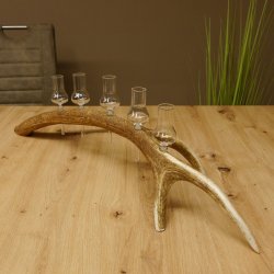 Schnapsanbieter 5x kleine Gläser Steckglas mit Stiel auf Rothirschstange Geschenk 27.60.2.57