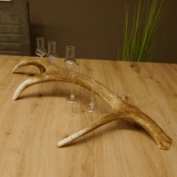 Schnapsanbieter 5x kleine Gläser Steckglas mit Stiel auf Rothirschstange Geschenk 27.60.2.57