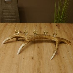 Schnapsanbieter 5x kleine Gläser Steckglas mit Stiel auf Rothirschstange Geschenk 27.60.2.57