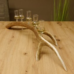 Schnapsanbieter 5x kleine Gläser Steckglas mit Stiel auf Rothirschstange Geschenk 27.60.2.57