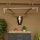 Rothirschgeweih 3-Stangen-Hirsch 12 ender Hirsch Höhe 122 cm Hirschgeweih Geweih geschnitztem Trophäenschild 70.1020