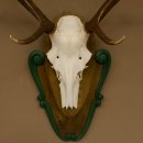 Rothirschgeweih 8 ender Hirsch Höhe 80 cm Hirschgeweih Geweih geschnitztem Trophäenschild 70.1025