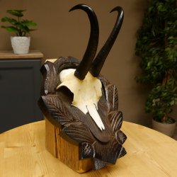 Gamsgeweih Geiß SL 17,8 cm Gams Gems Geweih auf geschnitztem Trophäenschild 47.272