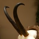 Gamsgeweih Geiß SL 20,4 cm Gams Gems Geweih auf geschnitztem Trophäenschild 47.273