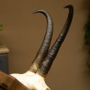 Gamsgeweih Geiß SL 20,4 cm Gams Gems Geweih auf geschnitztem Trophäenschild 47.273