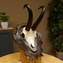 Gamsgeweih Bock SL 22,9 cm Gams Gems Geweih auf geschnitztem Trophäenschild 47.275